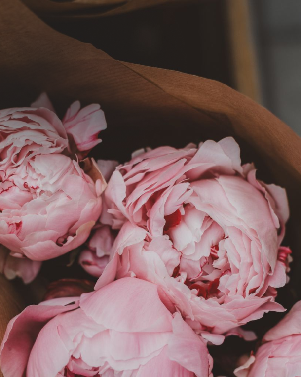 Guía de Aromas para la Primavera: Notas florales para renovar tu ambiente