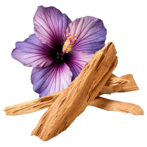 El equilibrio natural: Notas de violetta y su toque amaderado para tus ambientes